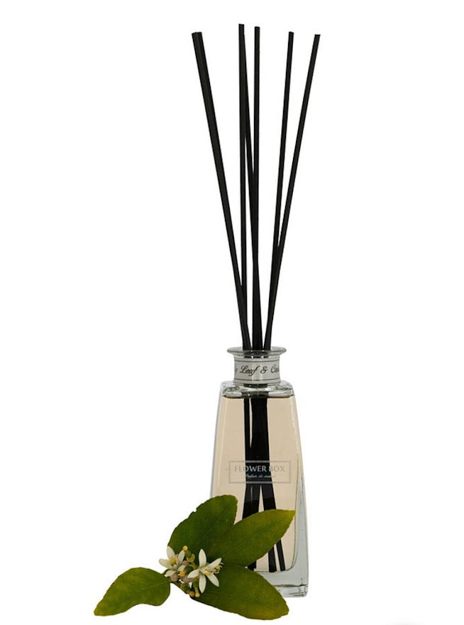Flower Box Fig Leaf & Cedar - Mini Diffuser 200ml