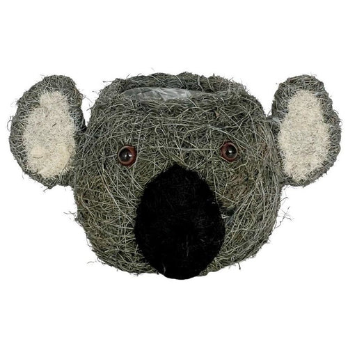 HUSK KOALA