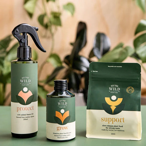 ESSENTIAL INDOOR PLANT CARE TRIO