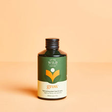 ESSENTIAL INDOOR PLANT CARE TRIO