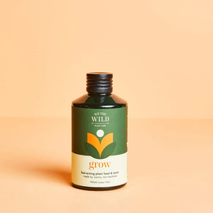 ESSENTIAL INDOOR PLANT CARE TRIO