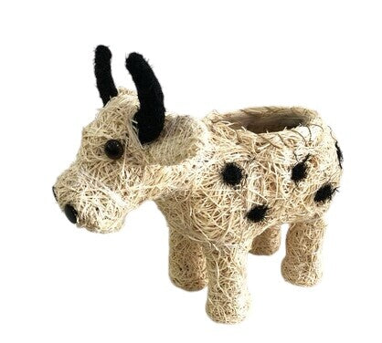 HUSK COW