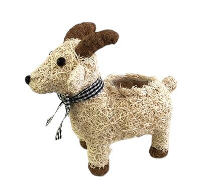 HUSK GOAT