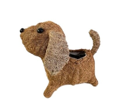 HUSK SMALL DOG