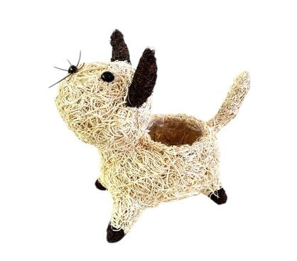 HUSK CAT