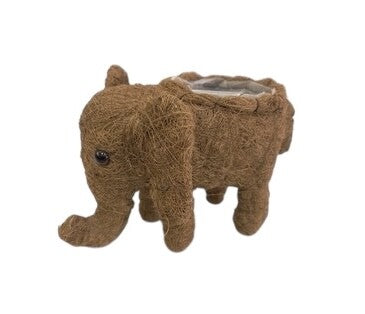 HUSK ELEPHANT