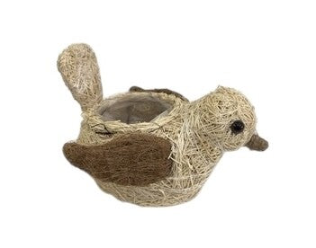 HUSK BIRD