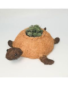 HUSK Turtle