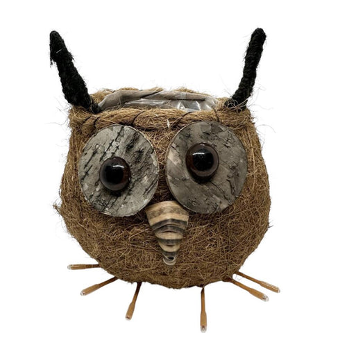 Husk Owl