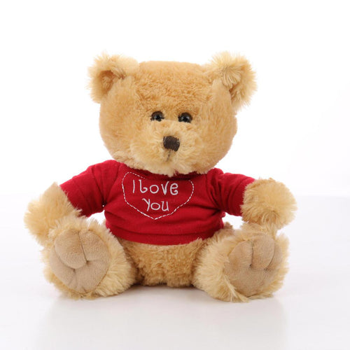 Teddy the Valentines Day Bear