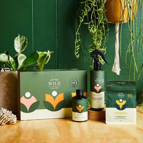 We The Wild Houseplant Essentials kit