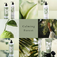 Mood By MOR Calming Forest Hand and Body Lotion