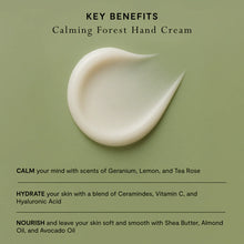 Mood By MOR Calming Forest Hand and Body Lotion