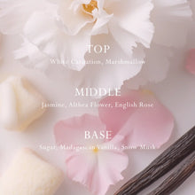 MOR Marshmallow Car and Space Diffuser REFILL