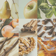 MOR Italian Pear Car Diffuser - Fragrance Disc REFILL