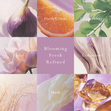 MOR Primavera Fig Car Diffuser - Fragrance Disc Refill