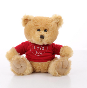 VALENTINES DAY HOODIE BEAR