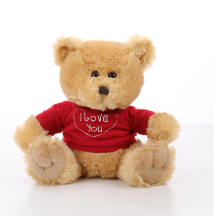 VALENTINES DAY HOODIE BEAR