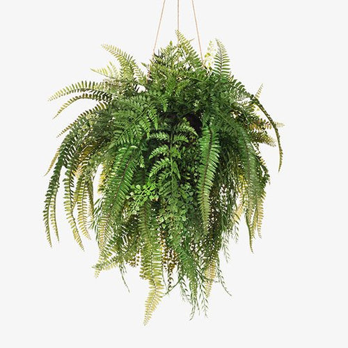 Fern Ball Mixed Hanging Articial Plant