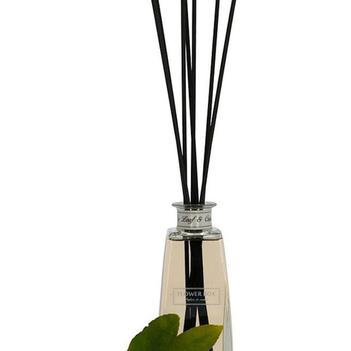 Flower Box Fig Leaf & Cedar - Mini Diffuser 200ml