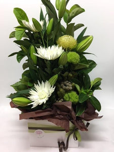 Boxed Arrangement Whites and Greens - Flowers of Phillip Island