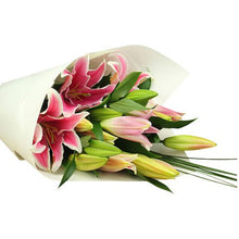 Lush Oriental Lillies - Flowers of Phillip Island